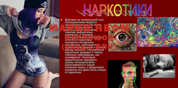 гидропоника Шимановск