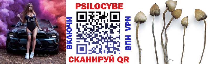 Псилоцибиновые грибы Magic Shrooms  Якутск 