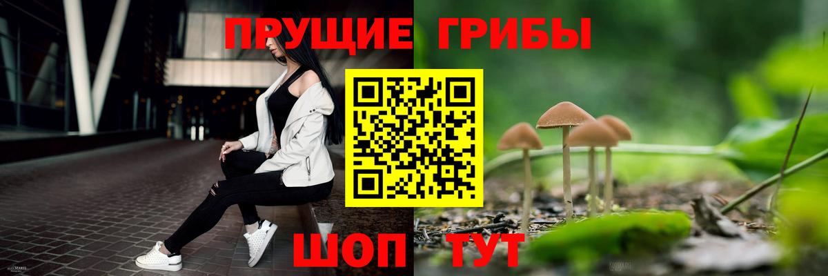 купить   Вход с VPN  Галлюциногенные грибы Magic Shrooms  Якутск  Галлюциногенные грибы мицелий 